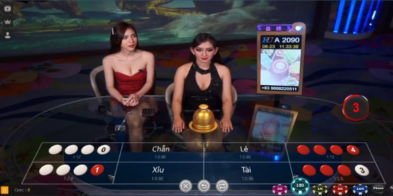 Bạn nên cân nhắc cửa lựa chọn Bạn nên cân nhắc cửa lựa chọn